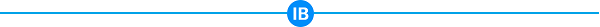 IB